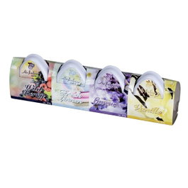 Active Air Pack de 4 ambientadores 50g fragancias surtidas