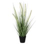 Mica Decorations Maceta de hierba dogtail 54 x 13 x 12 cm