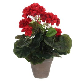 Mica Decorations Maceta de Geranio Rojo, ø11,5 x 33 cm