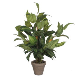 Mica Decorations Maceta de hosta verde 15,5 x 65 cm