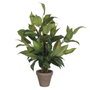 Mica Decorations Maceta de hosta verde 15,5 x 65 cm