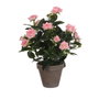 Mica Decorations Maceta de rosal rosa, ø11,5 x 33 x 25 cm