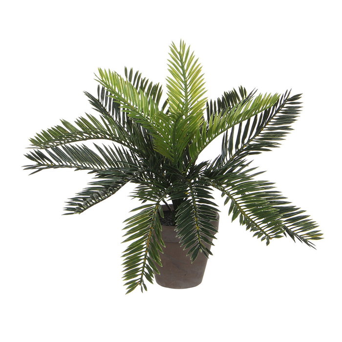 Mica Decorations Maceta con Palmera Sago Cyca Revoluta PVC, 40 x 40 x 33 cm Mica Decorations Maceta con Palmera Sago Cyca Revoluta PVC, 40 x 40 x 33 cm