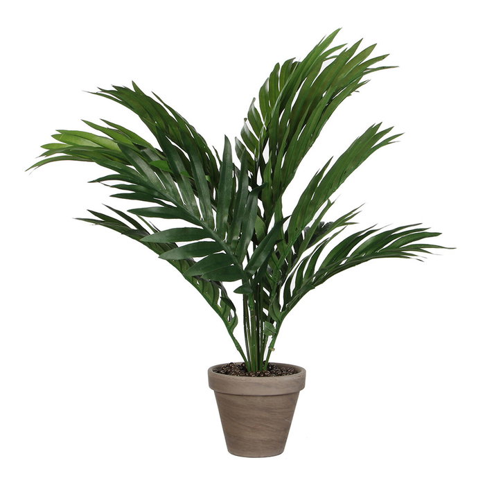 Mica Decorations Palmera amarilla o areca de PVC con maceta gris de 46 x 46 x 42 cm Mica Decorations Palmera amarilla o areca de PVC con maceta gris de 46 x 46 x 42 cm