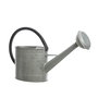 Decoris Regadera de Zinc 5L Gris