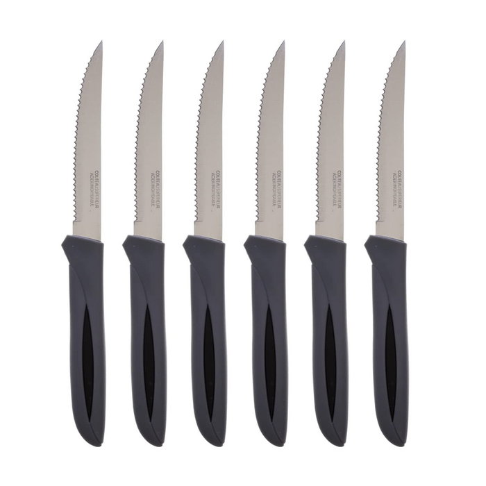 Basic & Co Set de 6 Cuchillos para Carne Inoxidables de 21 cm, Colores Surtidos
