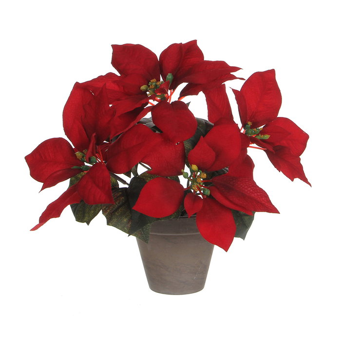 Mica Decorations Planta Poinsettia Rojo con Maceta Cerámica Gris 22x27cm Mica Decorations Planta Poinsettia Rojo con Maceta Cerámica Gris 22x27cm