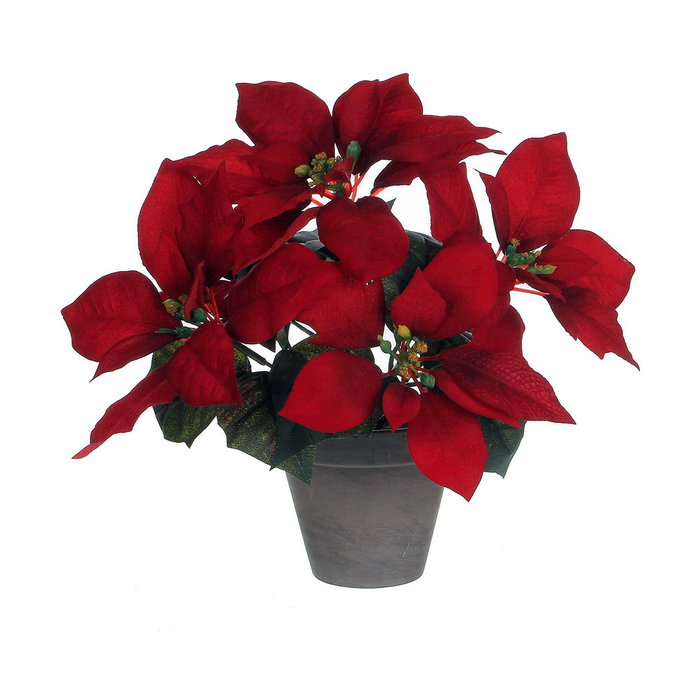 Mica Decorations Planta Poinsettia Rojo con Maceta Cerámica Gris 22x27cm Mica Decorations Planta Poinsettia Rojo con Maceta Cerámica Gris 22x27cm