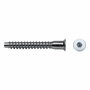 Celo Tornillo de ensamblaje Allen Ø 5x50 mm zincado, caja de 250 unidades