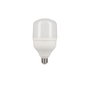 Edm Bombilla LED Industrial E27 30W Luz Fría