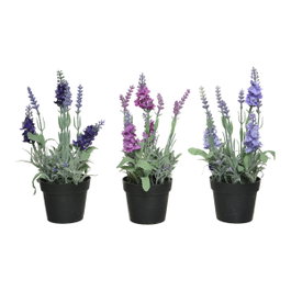 Maceta de lavanda, colores surtidos, 12 x 12 x 25 cm