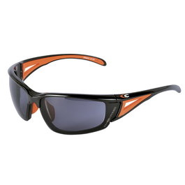Cofra Armex Gafas de Protección Gris Policarbonato Lente Anti-Rayado Anti-Emplamiento UV 400 Normativa EN 166-EN 172