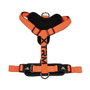 Nayeco Arnés X-TRM Cronos Neon Flash Naranja 15mm x 35-60cm