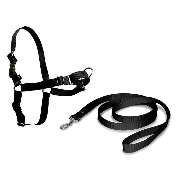 Nayeco - Easy Walk - Arnés + Correa para Perro Antitirones, Enganche Frontal, Color Negro, Talla Grande (66 - 91 cm) Nayeco - Easy Walk - Arnés + Correa para Perro Antitirones, Enganche Frontal, Color Negro, Talla Grande (66 - 91 cm)