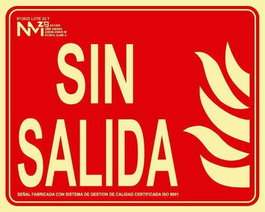 Señal Homologada Fotoluminiscente Sin Salida Pp Rojo