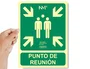 Normaluz Cartel de evacuación Punto de reunión clase B
