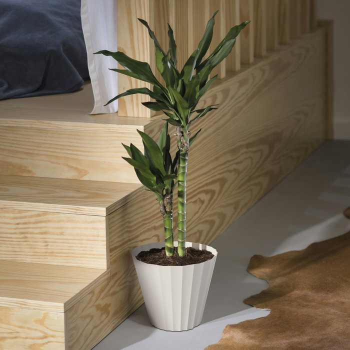 Plastiken Maceta Doric Blanco Ø180mm