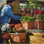 Plastiken Jardinera con plato integrado color terracota 80 x 20 cm