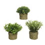 Everlands Maceta de Planta Verde ø16 x 13 cm