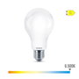 Philips Bombilla LED estándar E27 13W 2000 lm 6500K luz fría