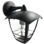 Philips Creek Aplique de Pared Exterior Negro Descendente