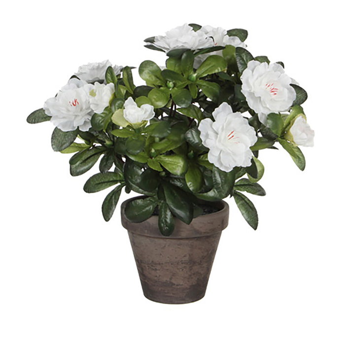 Mica Decorations Maceta de azalea blanca ø11,5 x 27 cm Mica Decorations Maceta de azalea blanca ø11,5 x 27 cm
