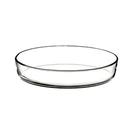 5Five Fuente Ovalada para Horno 35x25x7 cm Cristal Transparente