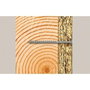 Fischer Pack 220 tornillos surtidos Misterbox FPFII