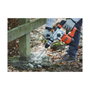 Black+Decker Martillo percutor SDS-plus 1250 W con cable de 2 m
