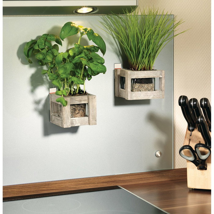 Tesa Powerstrips Tiras adhesivas de doble cara grandes, 10 uds