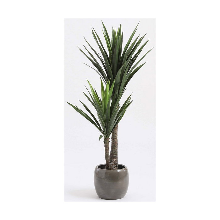 Mica Decorations Maceta de Yucca 60 x 120 cm Mica Decorations Maceta de Yucca 60 x 120 cm