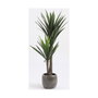 Mica Decorations Maceta de Yucca 60 x 120 cm