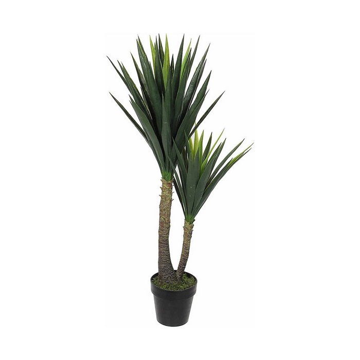 Mica Decorations Maceta de Yucca 60 x 120 cm Mica Decorations Maceta de Yucca 60 x 120 cm