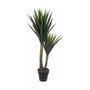 Mica Decorations Maceta de Yucca 60 x 120 cm