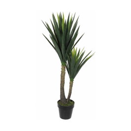 Mica Decorations Maceta de Yucca 60 x 120 cm