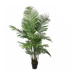 Mica Decorations Maceta Palmera Areca Ø80 x 160 cm