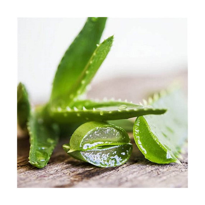 Gill´S Toallitas Húmedas XL Higienizantes con Aloe y Clorhexidina 40 uds