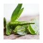 Gill´S Toallitas Húmedas XL Higienizantes con Aloe y Clorhexidina 40 uds