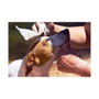 Gill´S Toallitas Húmedas XL Higienizantes con Aloe y Clorhexidina 40 uds