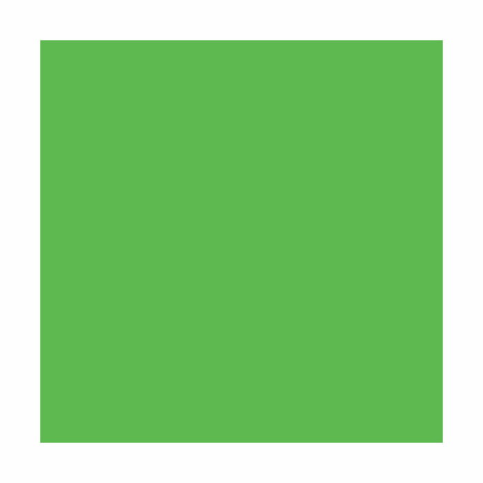 Bruguer Colorante líquido superconcentrado Emultin Verde cactus 50 ml Bruguer Colorante líquido superconcentrado Emultin Verde cactus 50 ml
