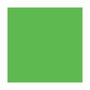 Bruguer Colorante líquido superconcentrado Emultin Verde cactus 50 ml