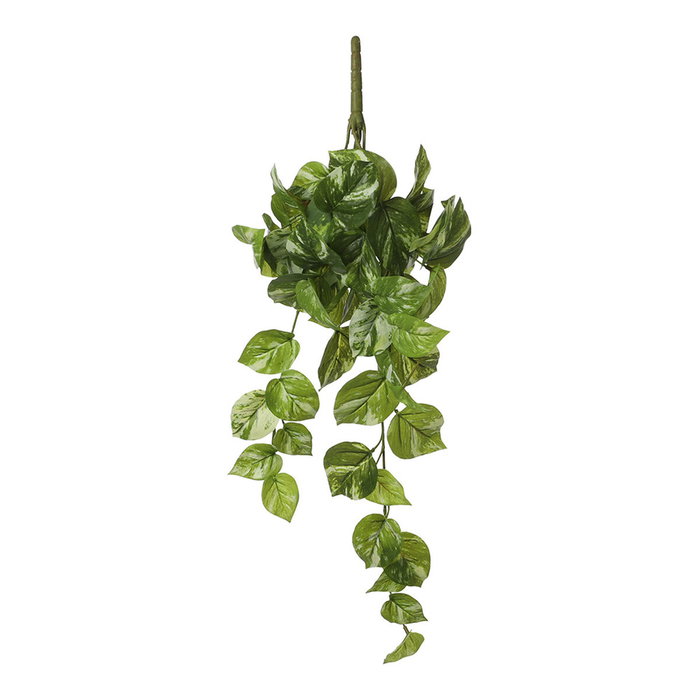 Mica Decorations Maceta colgante de poto verde, 14 x 58 x 20 cm Mica Decorations Maceta colgante de poto verde, 14 x 58 x 20 cm