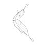 Sauvic Parrilla Besuguera Inoxidable 13,5 x 54 cm