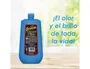 Cristasol Limpiacristales de 1 litro