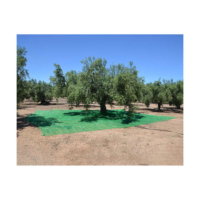 Manto para recolecta de frutos 7x14m Verde