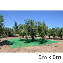 Manto para Recolecta de Frutos 5x8m Polipropileno Verde