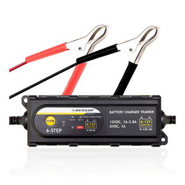 Dunlop Cargador para Batería de Coche 6/12V Inteligente 6 Etapas, 4-120Ah, para Plomo y Gel, Protección Contra Chispas y Cortocircuitos