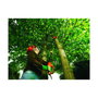 Black+Decker Motosierra de pértiga 800W 25 cm