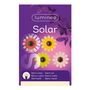 Lumineo Figura Solar Metálica Flor Colores Surtidos Ø14 x 4 cm Luz Cálida 6 Leds 6 Horas Funcionamiento