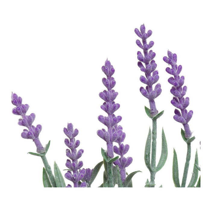 Jarrón vintage con lavanda, colores surtidos, ø13 x 32 cm